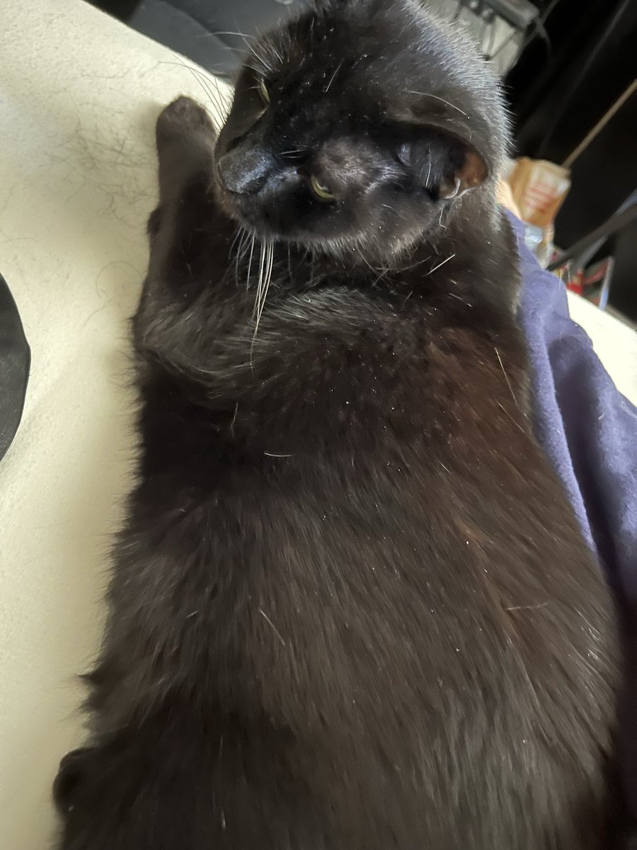 My mental health is restored!