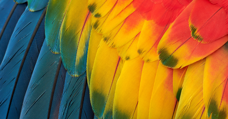 Arctic Science Journal tweet media