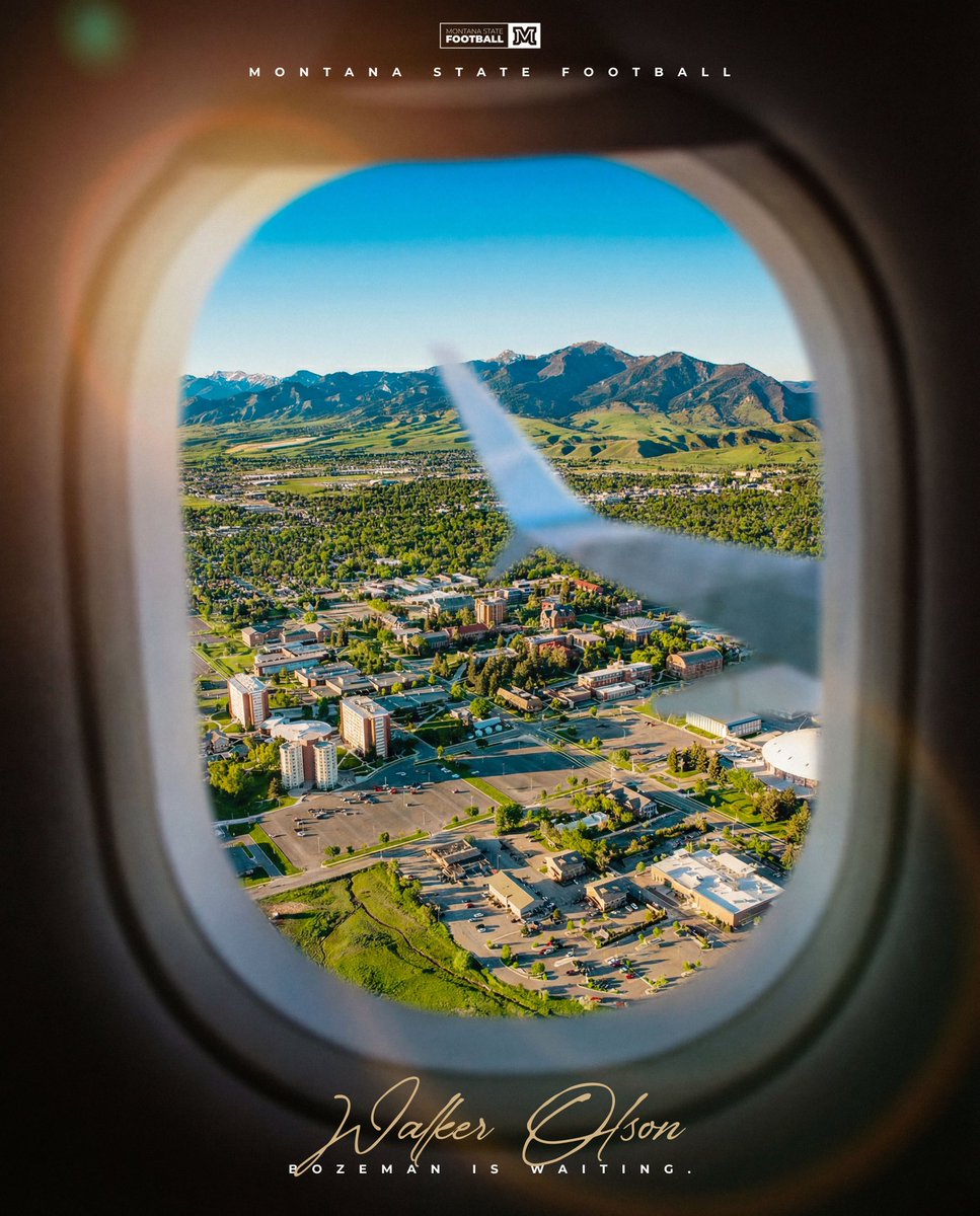 Thank you <a href="/C_Arbizzani/">Chandler Arbizzani</a> for the sick graphic!