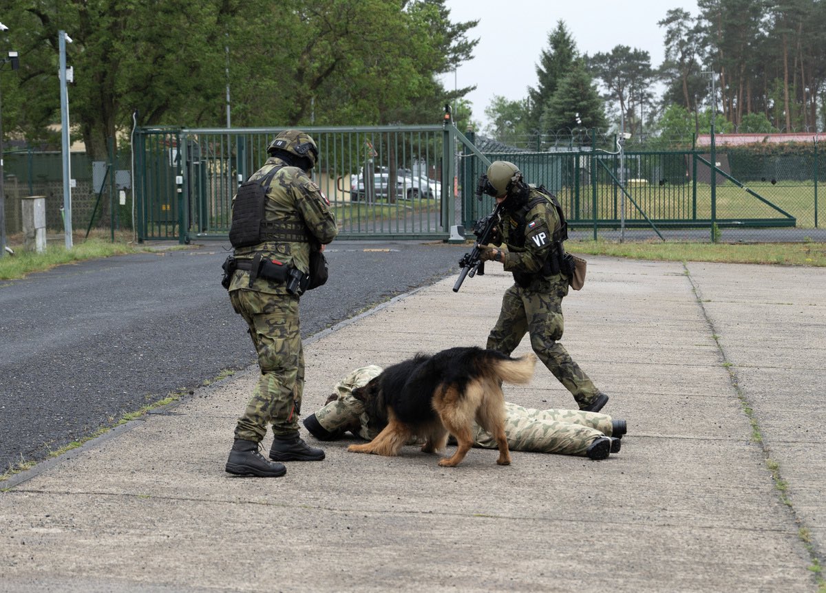 CzDefence's tweet photo. 35 let v první linii práva
Vojenská policie: od legií až po kyberprostor. Tradice, která drží krok s hrozbami dneška.
👉 https://t.co/Lhoz25Z4JR
#VojenskáPolicie #Bezpečnost #Obrana #CZDEFENCE @ArmadaCR @ObranaTweetuje @VojenskaP https://t.co/dUgpnSFGqU