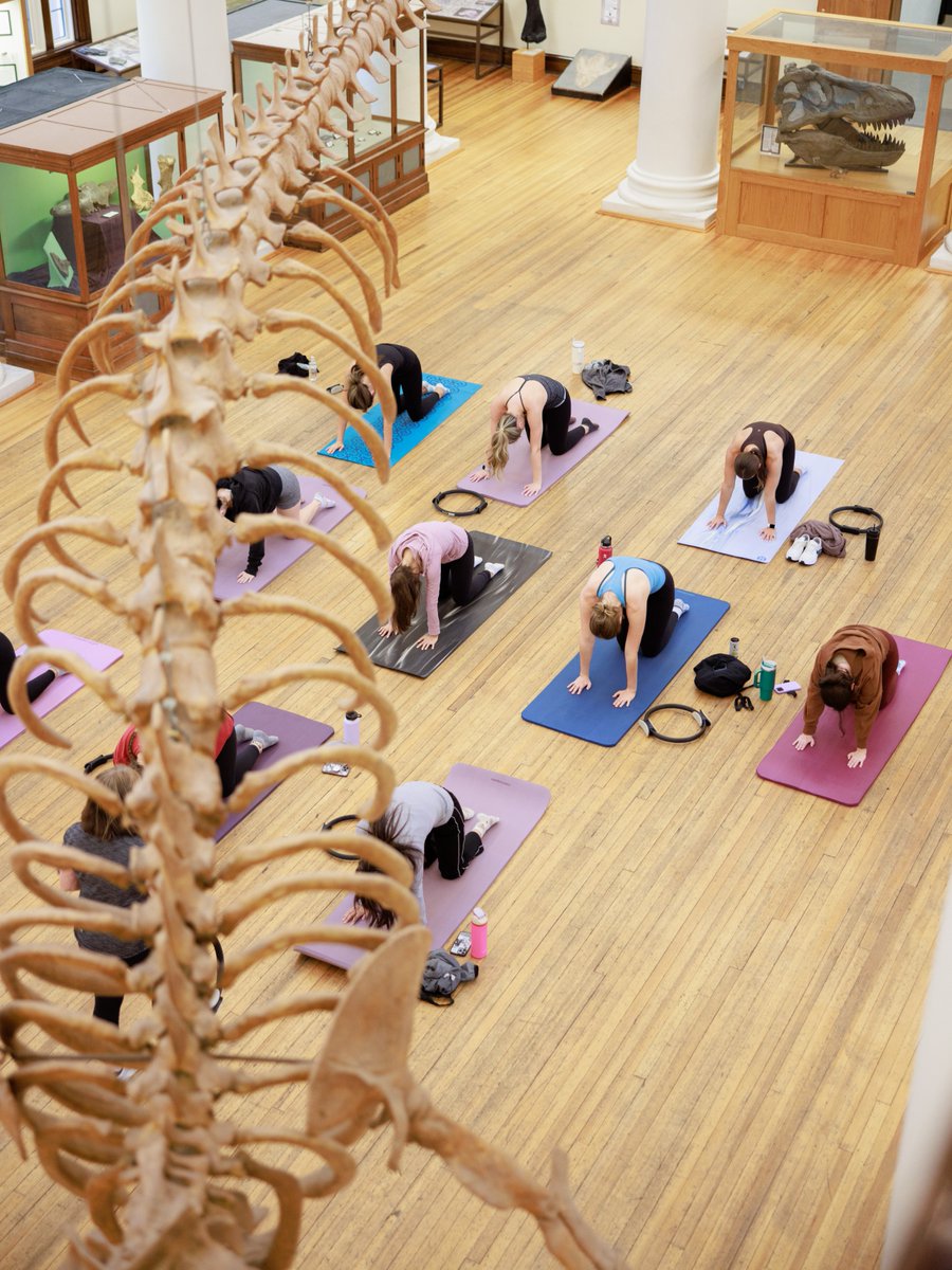 Alabama Museum of Natural History tweet media