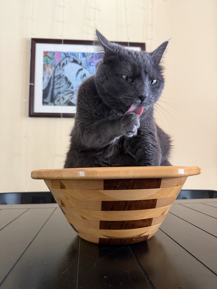 Do you wanna take a bath?