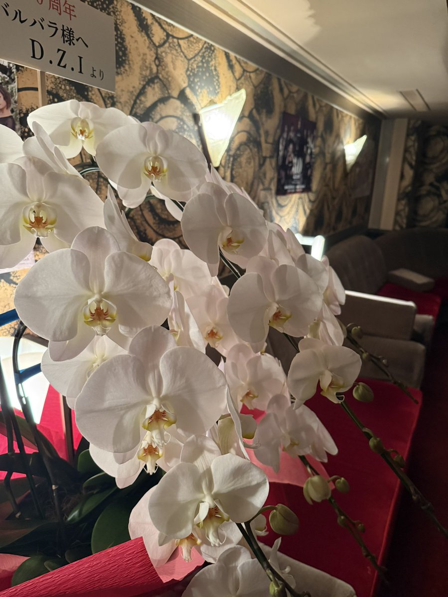 今日はバルバラのガチ30歳のお誕生日でした。覚えていて下さいって感謝❤️本公演までいよいよあと5日！　#京都バルバラ30周年に向けて