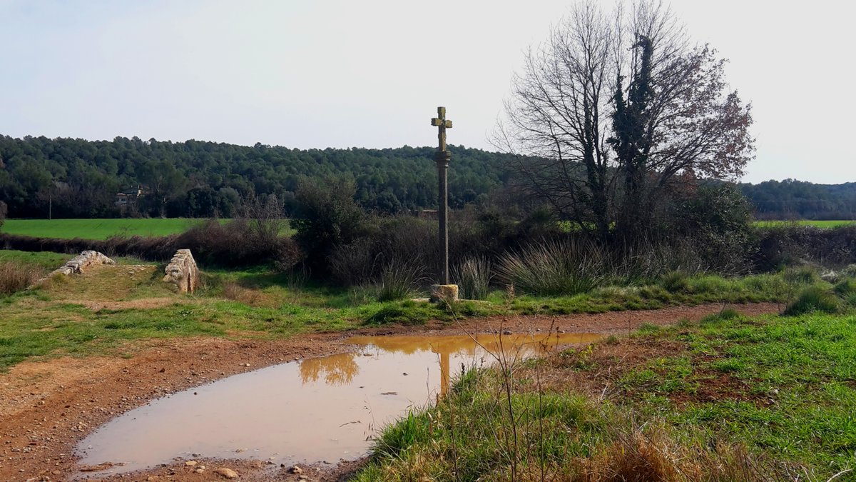 Raconets tweet media