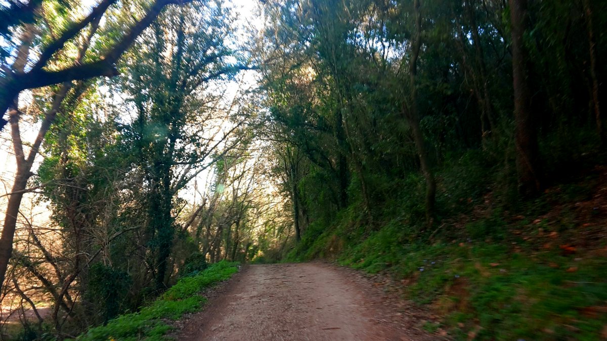 Raconets tweet media