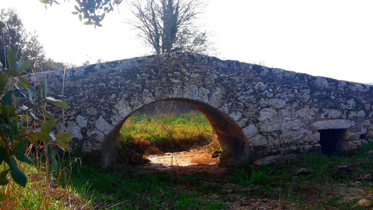 Raconets tweet media