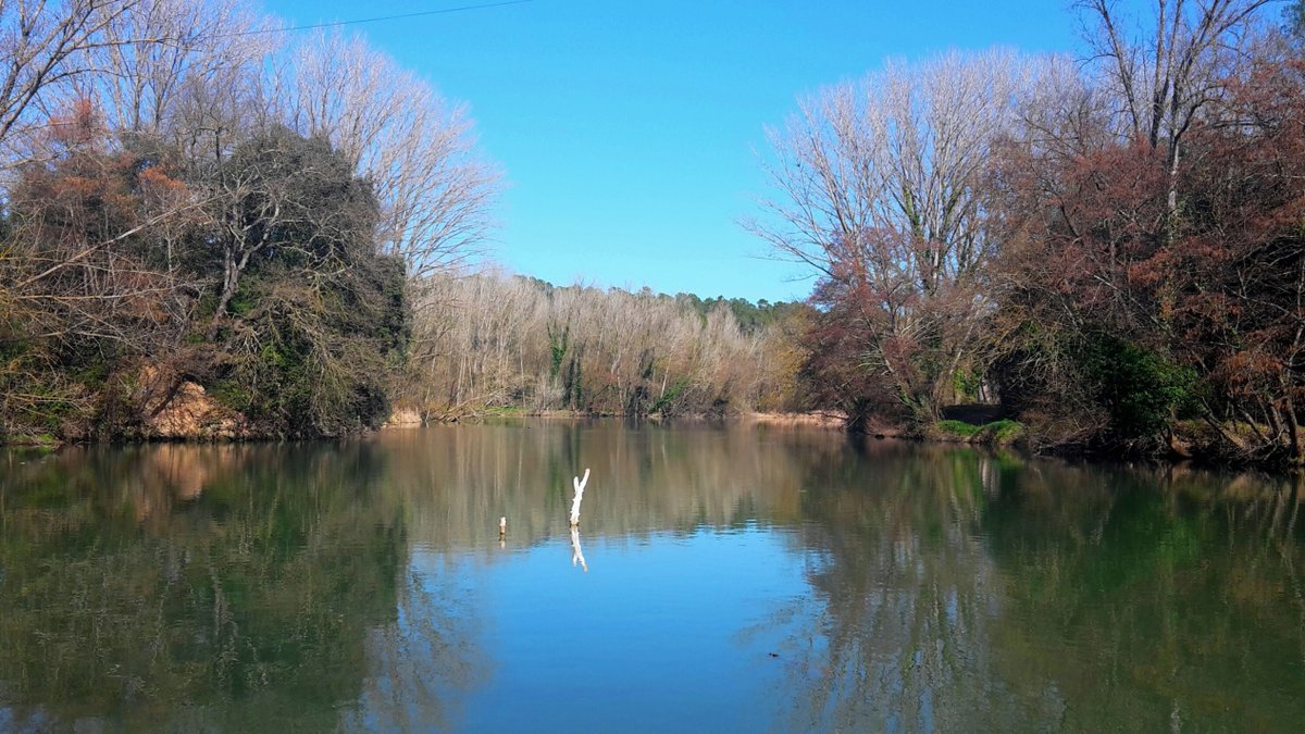 Raconets tweet media