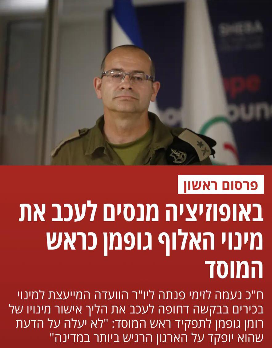 Naama Lazimi - נעמה לזימי tweet media