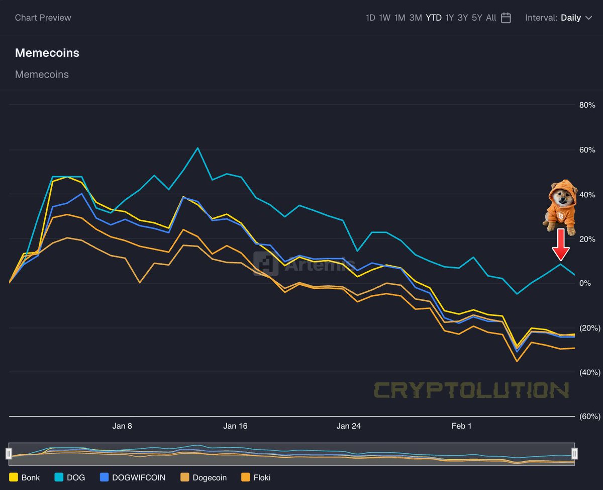 $DOG (Bitcoin) is the Best Performing Dog Themed Memecoin in 2026 🤩

It's Bitcoin Memecoin (#Runes) Season.