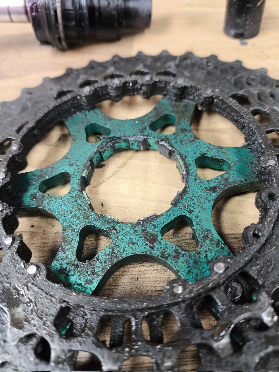 Evanglis tweet media