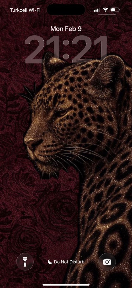 NadireNazlican's tweet image. #dearUniverse 

Feel free to shower me with your gifts 🎁
