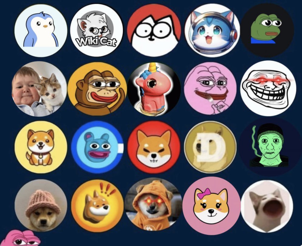 1000xgirl tweet media