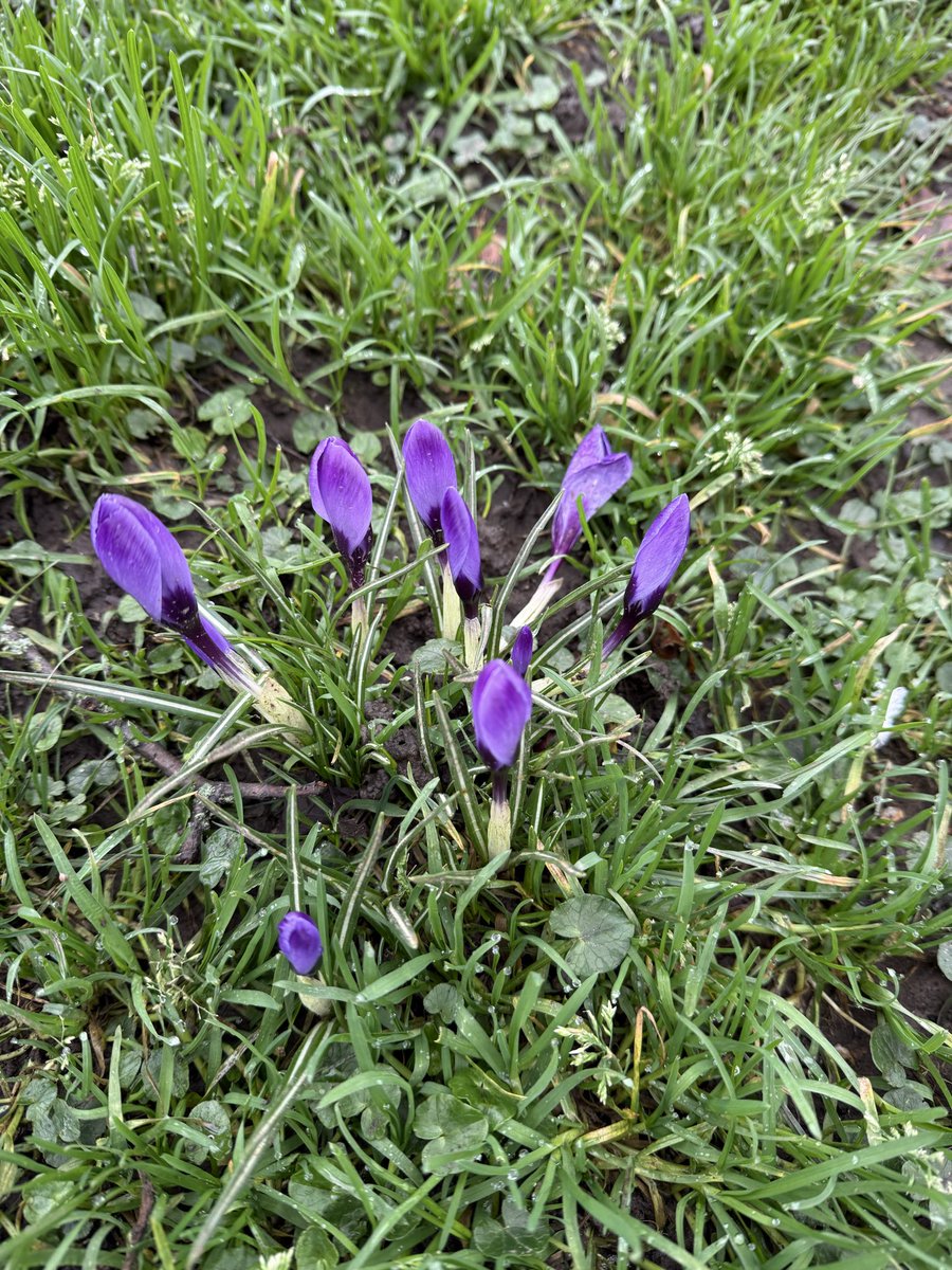 mymatepeach's tweet photo. Spring is round the corner 😍🙏🏻 https://t.co/usxnSk9uft