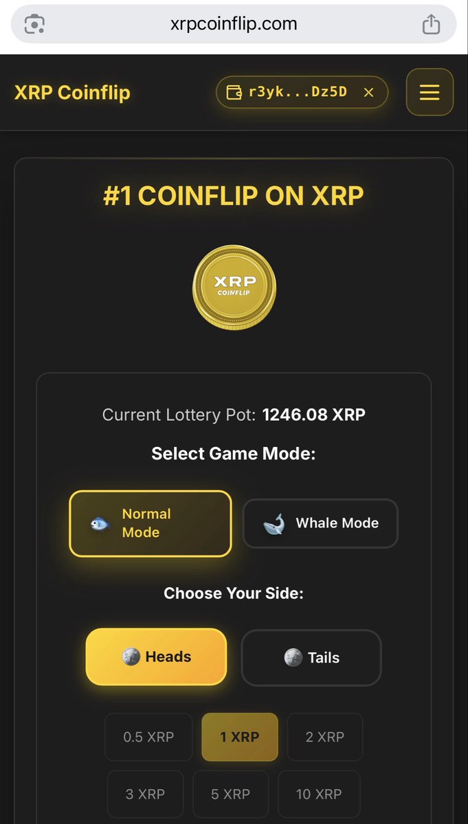 Xrp Arcade tweet media