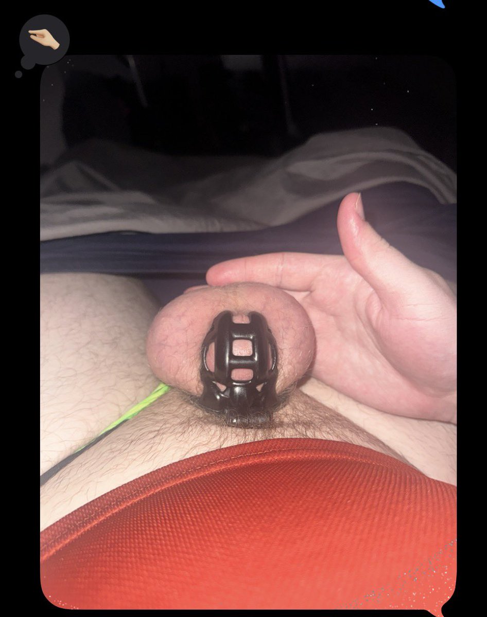 true happiness is having an owner who 🤏 reacts whenever you send cage checks