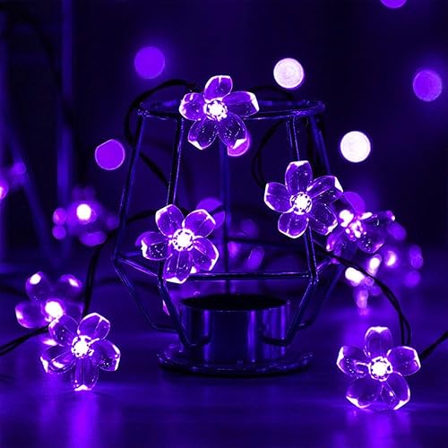 SnowMercyGaming's tweet photo. I just received Outdoor String Lights, Christmas Lights 33 FT 100 LED Waterproof Deco for Indoor Outdoor Backyard Tree Party Cafe Patio Home Room Festival Chirstmas (Transparent Wire-Mult from madmanonfire via Throne. Thank you! https://t.co/1sM6SSFmcz #Wishlist #throne https://t.co/i2rD9vbgmV