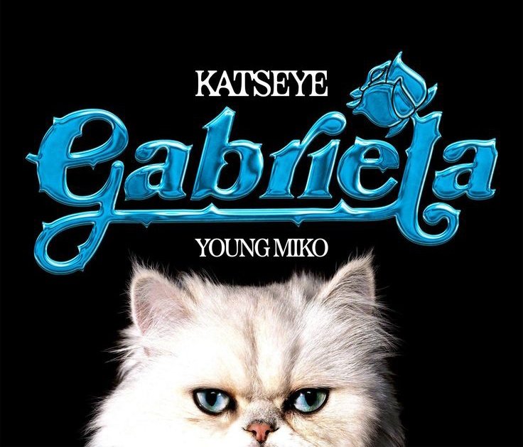 lvsTrucazo's tweet image. ────୨𝓖𝓪𝓫𝓻𝓲𝓮𝓵𝓪...ৎ────
La comisario detesta a los hombres; la modelo recién llegada acaba de salir herida por uno. Uno que la pelinegra conoce bastante bien, la atracción aparece cuando no lo esperan y la noche termina como debió empezar.

#os 𓍼 #freddytabo 𓍼 #Gl