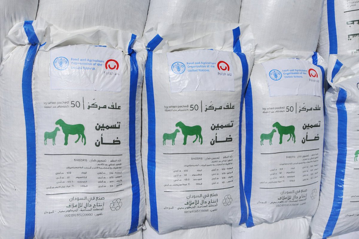 FAOSudan tweet media