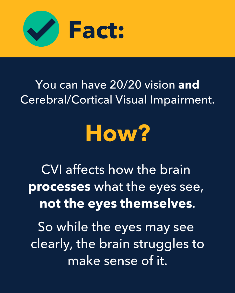 PerkinsVision's tweet image. The leading cause of childhood blindness doesn’t always show up on an eye chart — but it shows up in everyday life. 🤯

#CVI can make it hard to recognize faces, read, find objects, or navigate busy spaces. Early awareness = early support. #LowVisionAwarenessMonth