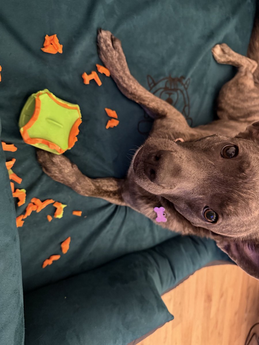 Mameku ten koftifek vyboufnul 😱