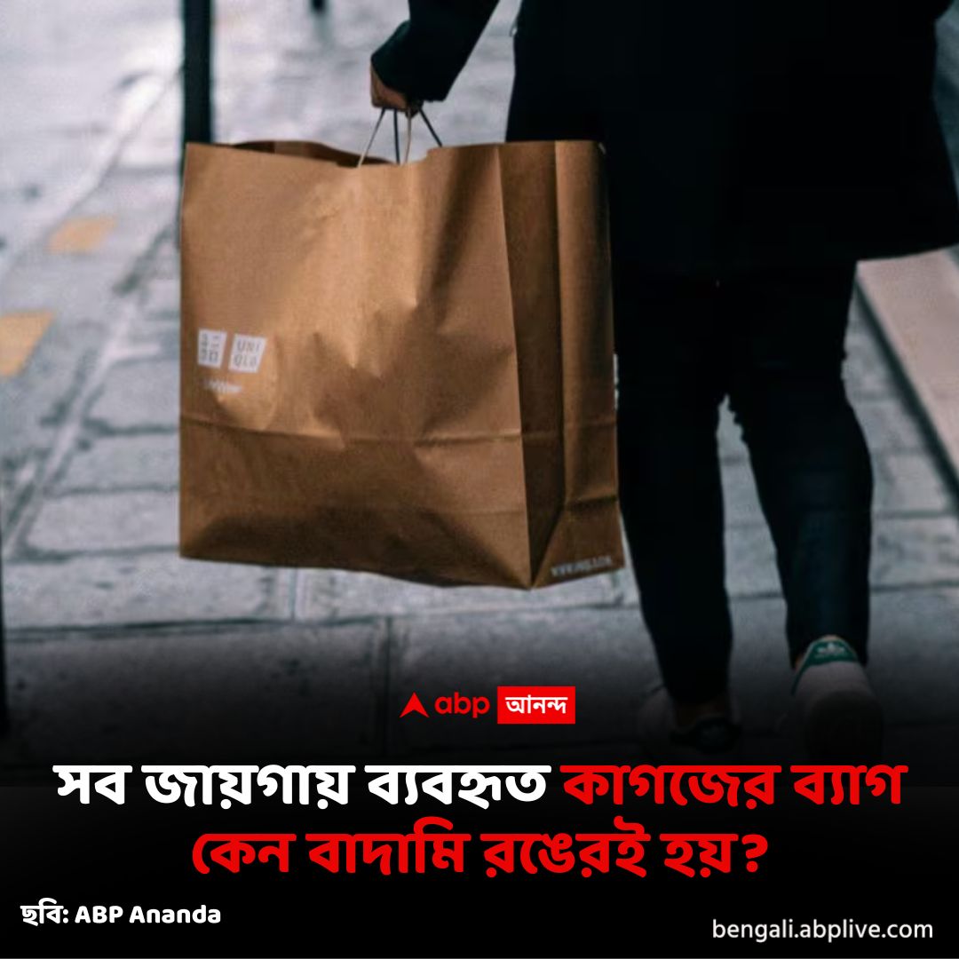 abpanandatv's tweet image. মুদির দোকান থেকে শপিং মল, সব জায়গাতেই কেন ব্যবহার করা হয় একই রঙের ব্যাগ?
#paperbag

বিস্তারিত
bengali.abplive.com/photo-gallery/…