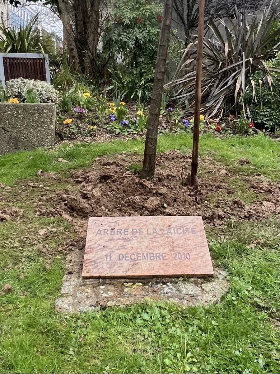 Luc_Bouard tweet media