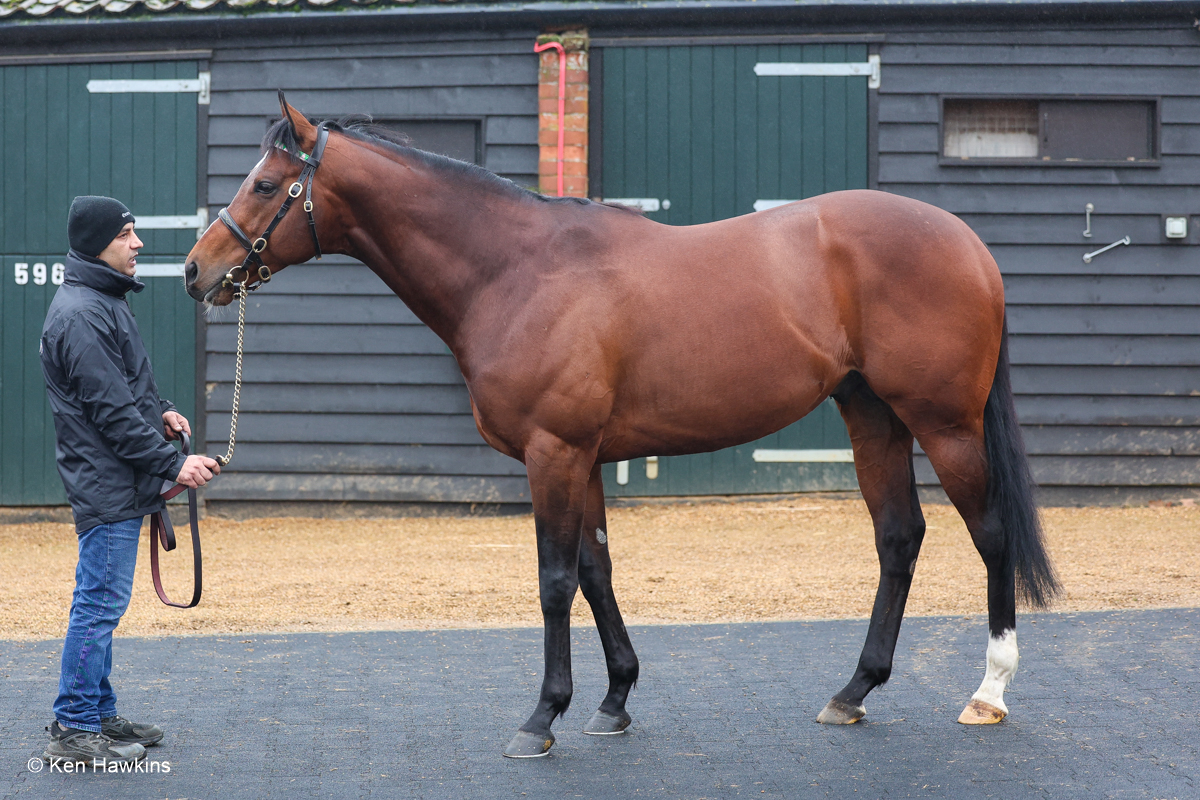 Ken Hawkins Racing Photography. tweet media