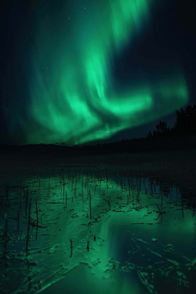 Vincent Schnabl tweet media