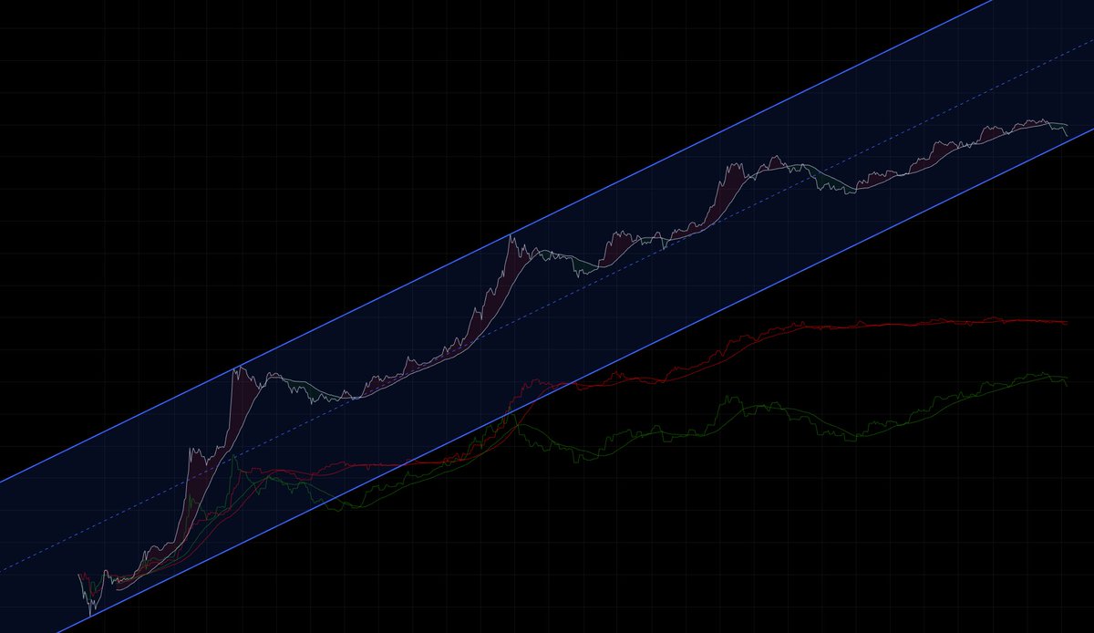Saint Bruno tweet media