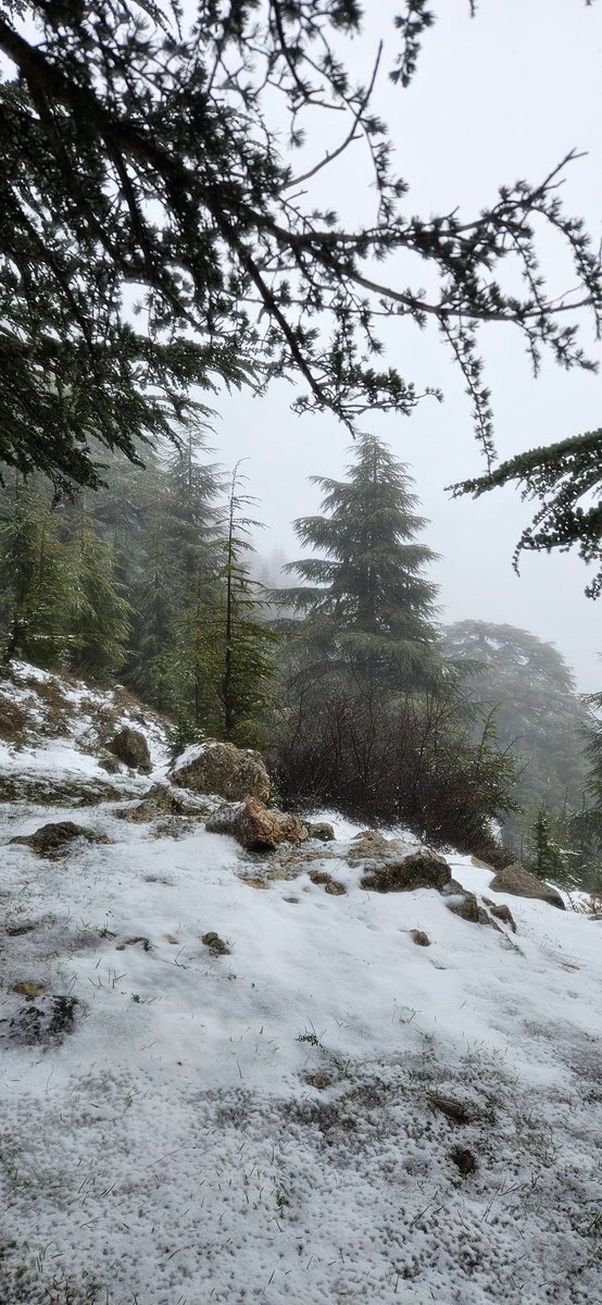 Alerte 𝐗 tweet media