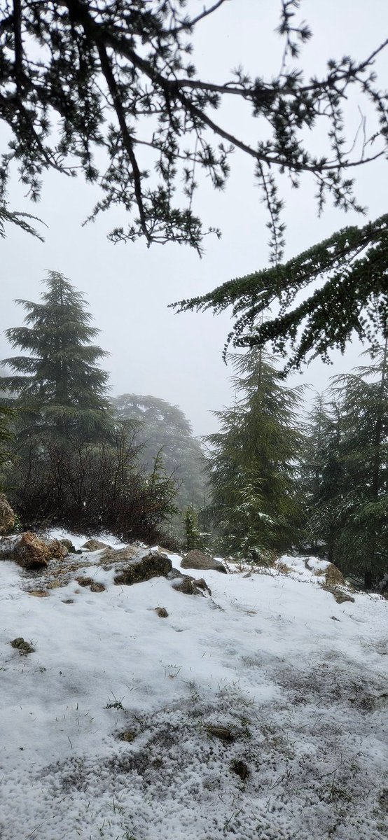 Alerte 𝐗 tweet media