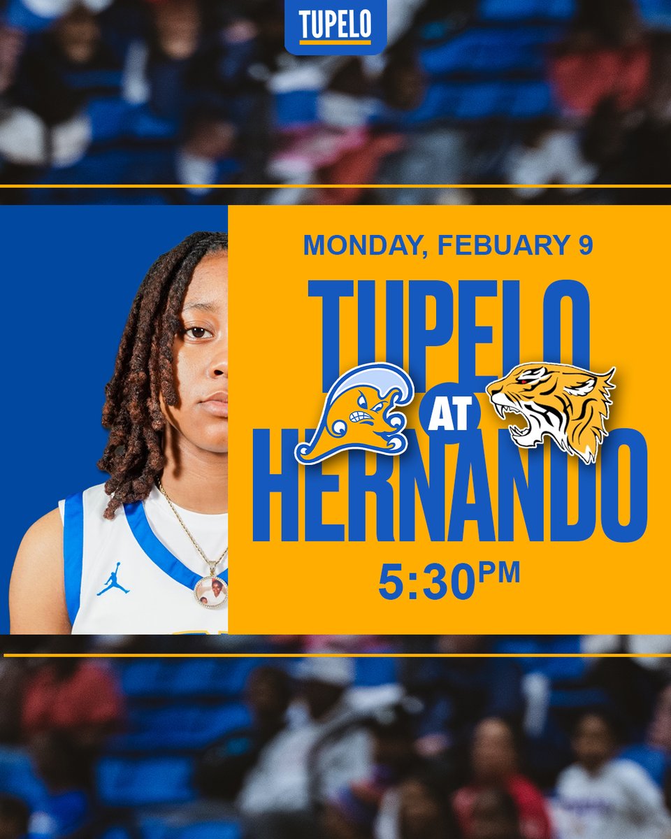 Lady Wave Basketball tweet media