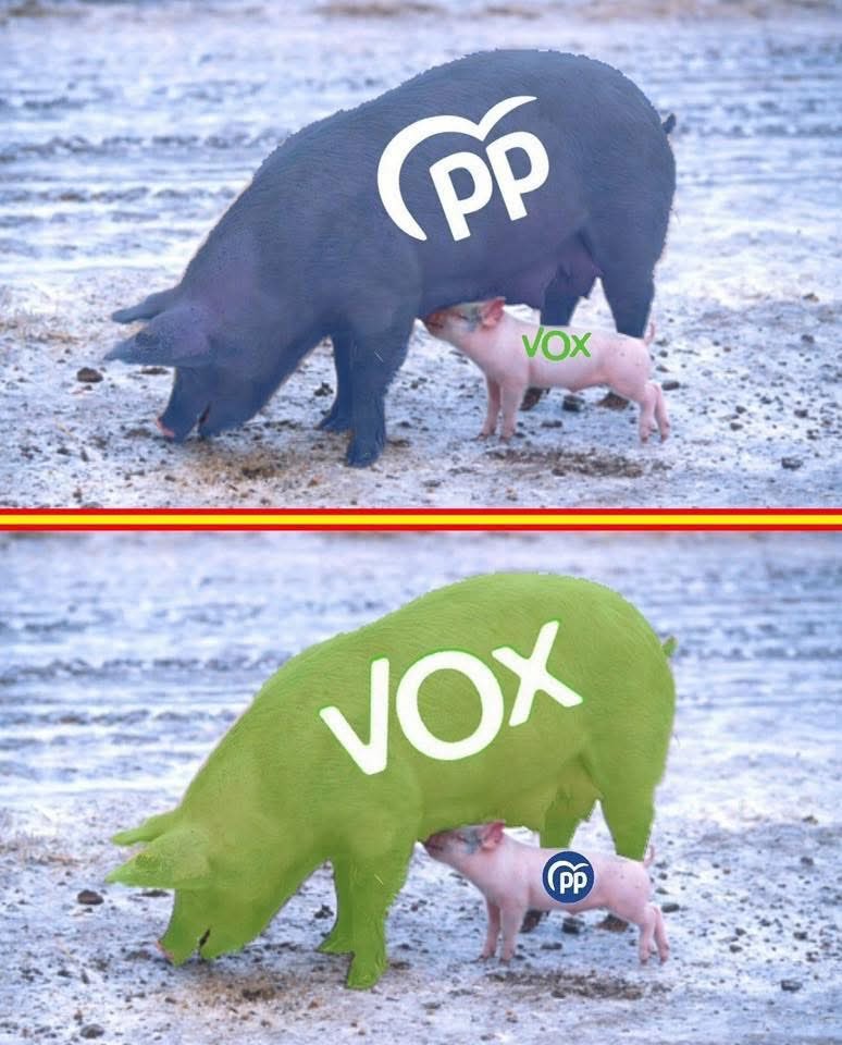MonchoGallecia's tweet photo. Análise das eleccions de Aragon e Extramadura:
A realidade política no estado Espanhol que nos deixa a INCOMPETÊNCIA de #Feixoo e a extratexia radical do #PP https://t.co/0g2tEMepwk