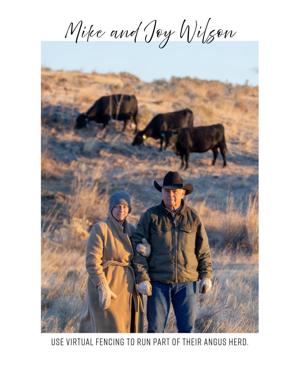 Angus Journal editor tweet media