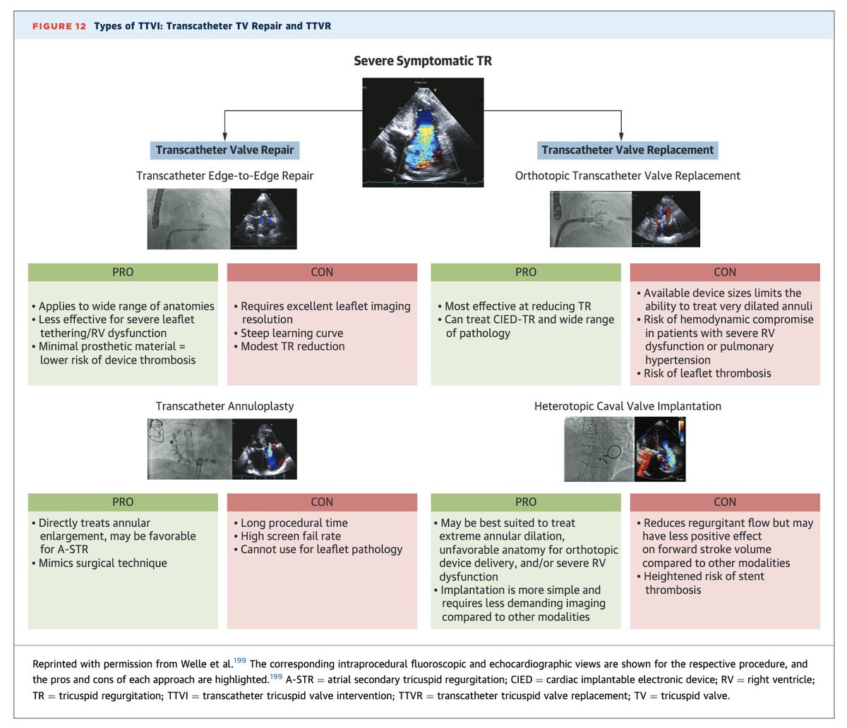 Edgardo Alania tweet media