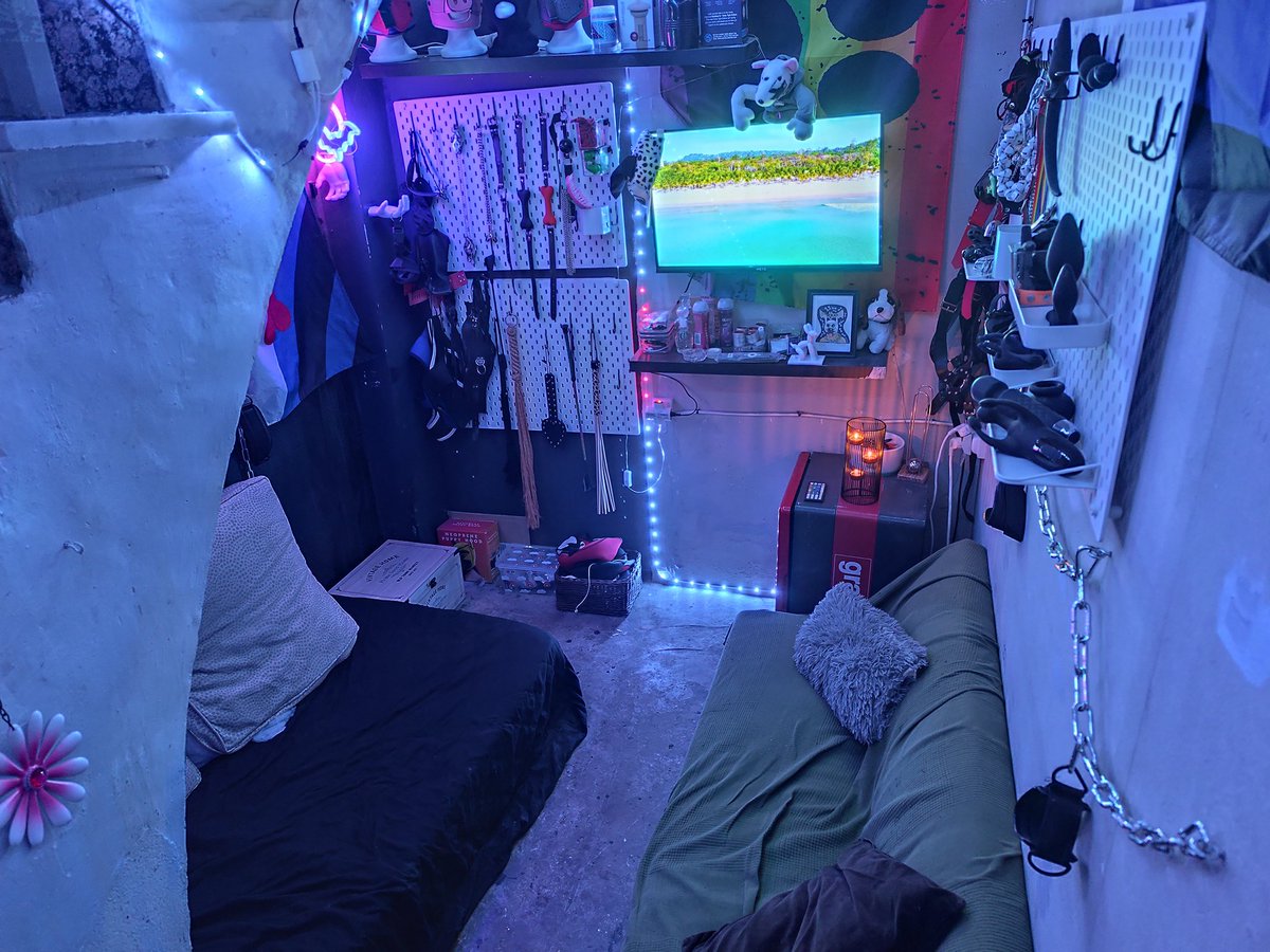 Human Tejero tweet media