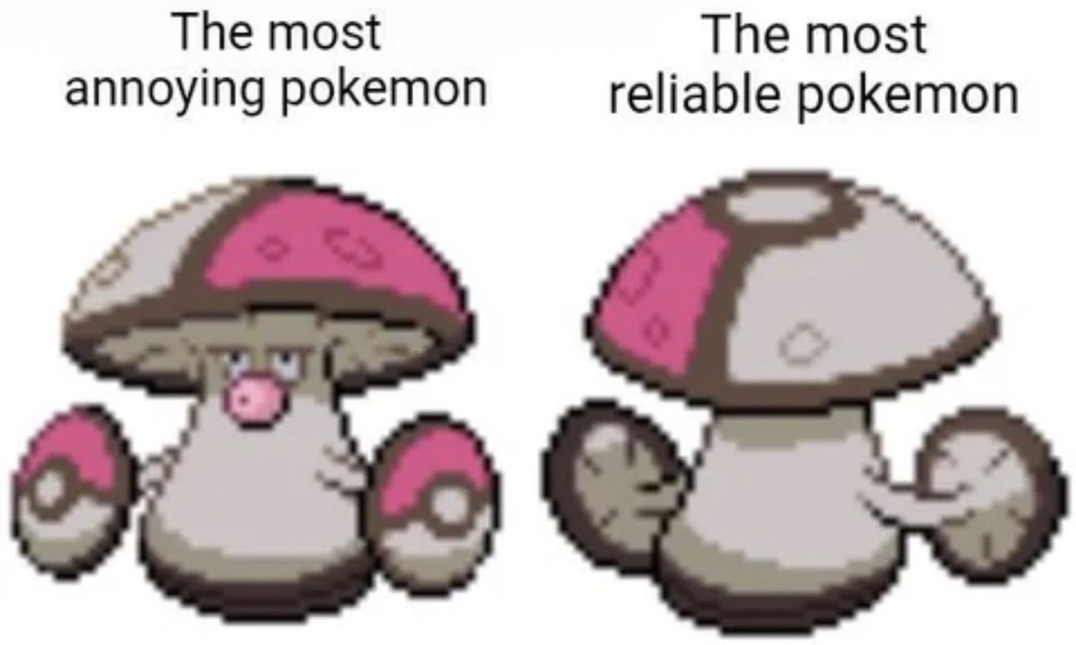 pokehaven tweet media