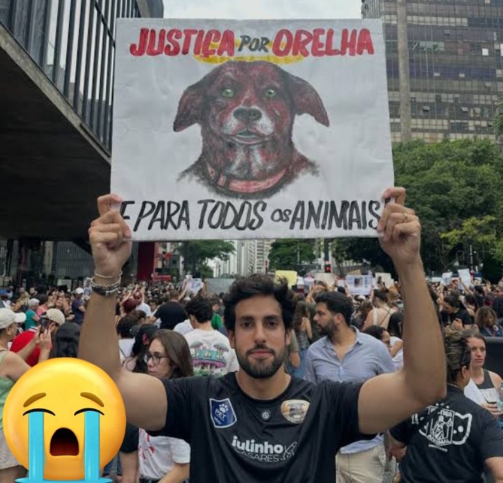 Lola 🧠🎯 tweet media
