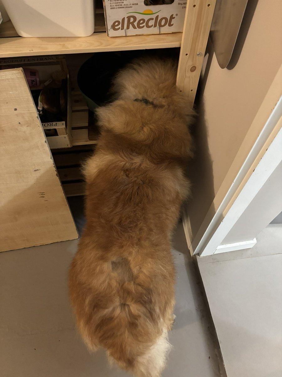 mona (@s_wag0na) on Twitter photo 