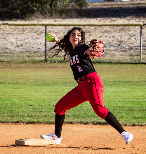 Stevens Falcons Softball tweet media