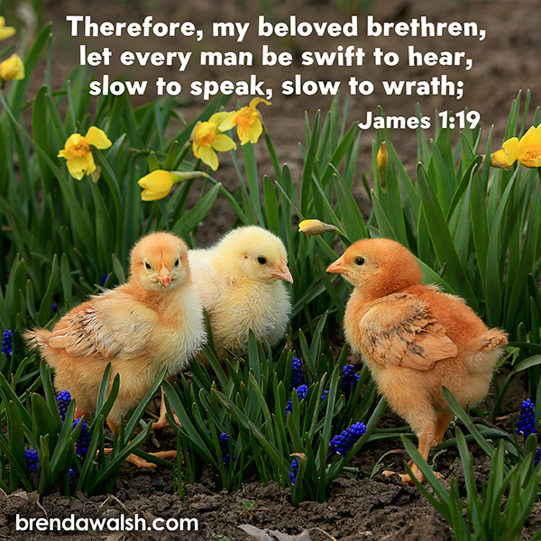 brendakwalsh's tweet photo. Today's Daily Scripture Picture: Godly Communication
James 1:19 – “Therefore, my beloved brethren, let every man be swift to hear, slow to speak, slow to wrath.”
#Christianity #scripture #verse #verseoftheday #bibleverse #bibletext #biblestudy #character #communication #Christ https://t.co/tbhHY7mPR1