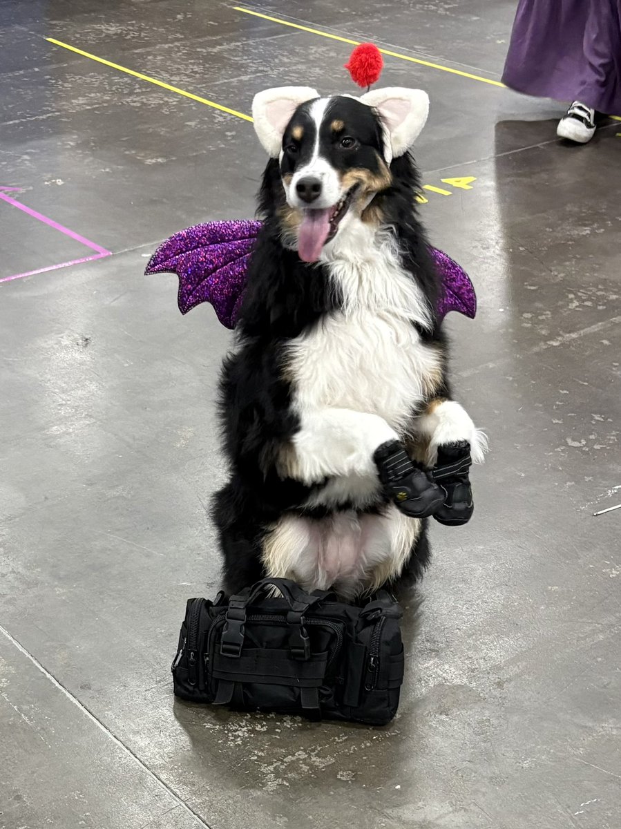 Natalie Van Sistine tweet media