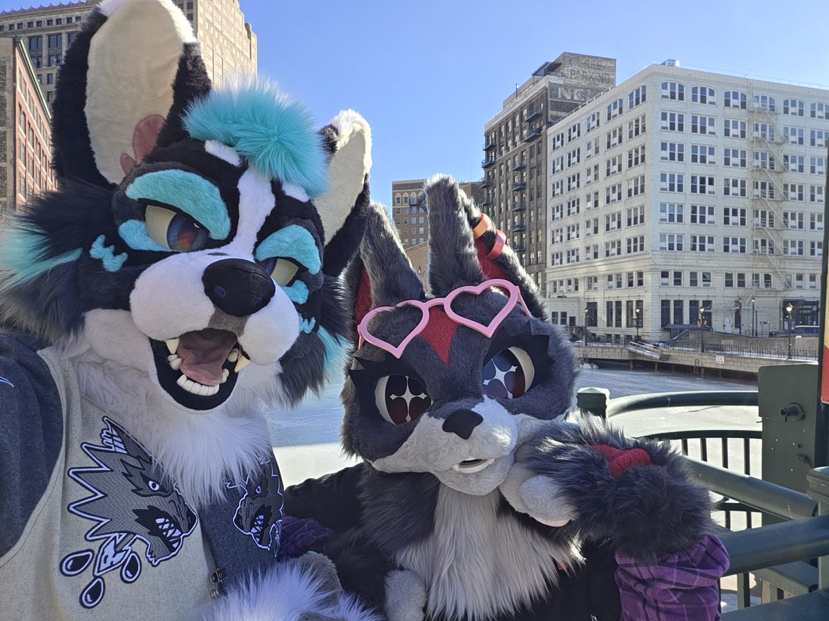 SharkoDoggo 🔜 FANG tweet media