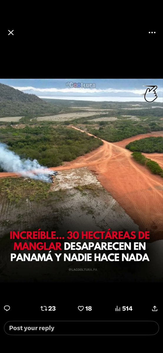 NO A LA MINERÍA ⛏️ Panamá 🇵🇦 libre de desforestación. 🙏….