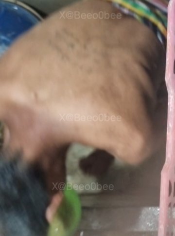 Bee and Real Daddy56 🇹🇭 tweet media