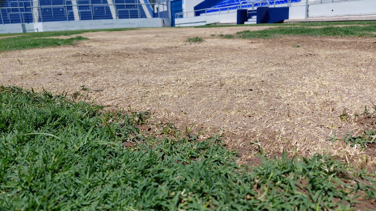 #GodoyCruz
El sector de la cancha que da a la Platea Sur es el más afectado. Mañana martes se realizará un trabajo especial en el campo de juego para cubrir los huecos y dejarlo en condiciones de jugar en el Feliciano Gambarte. Por el momento, no hay confirmaciones.