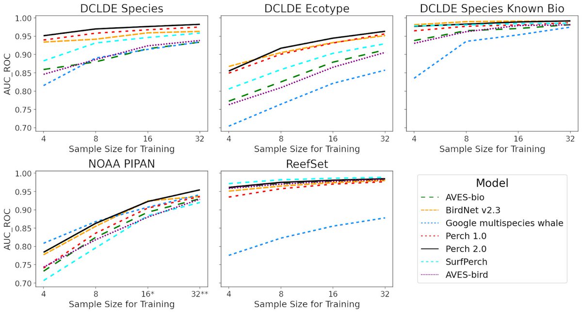 GoogleDeepMind's tweet photo. Perch 2.0 was evaluated on a range of whale vocalization tasks: distinguishing different baleen whale species, and killer whale subpopulations.

Compared against pre-trained models, it landed consistently in the top or second-best performing model for each dataset and sample size.