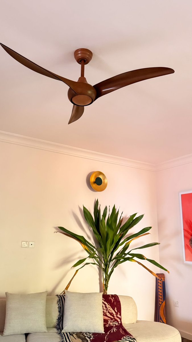 ADEDAMOLA tweet media