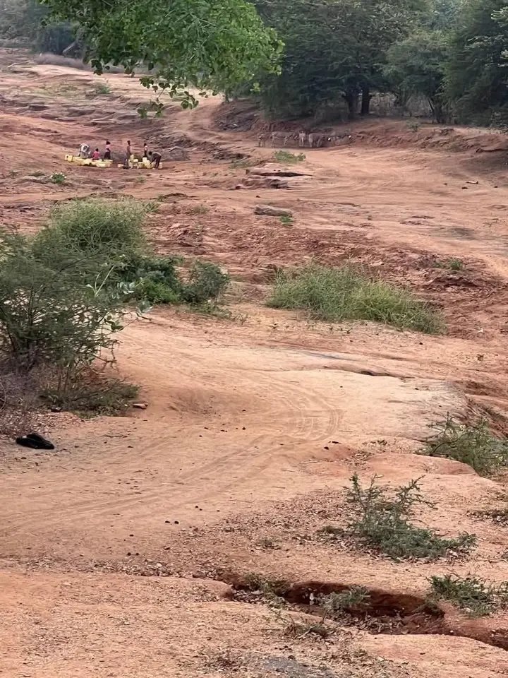 ivymuthe's tweet image. Situation at Mwingi,Kitui county .