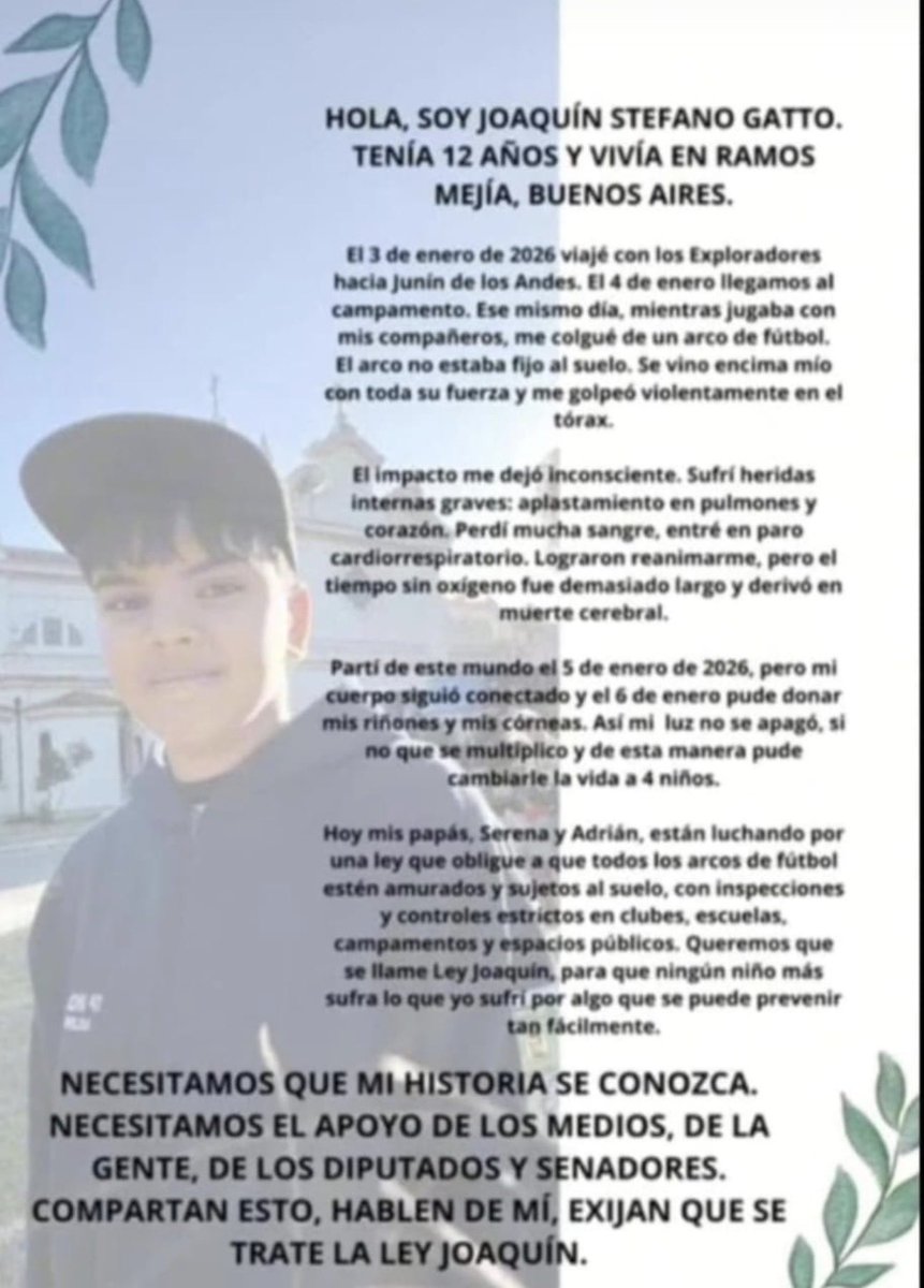 Tremendo que los adultos no chequeen los adultos las instalaciones, que no hagan un mapa de riesgo antes de ir a jugar. TREMENDO QUE SE LES PASE POR ALTO.

Pobre nene, de esto no se habla 💔